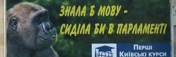 В Раде снова запрещают говорить на русском языке
