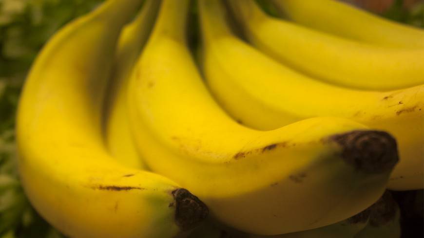 Колумбия ввела ЧП из-за грибка, угрожающего банановым плантациям
