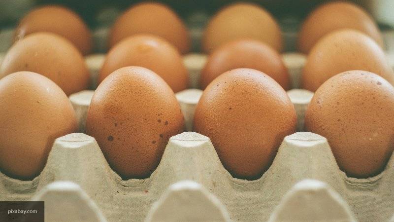 Британка лишилась зрения из-за сваренных в микроволновке яиц
