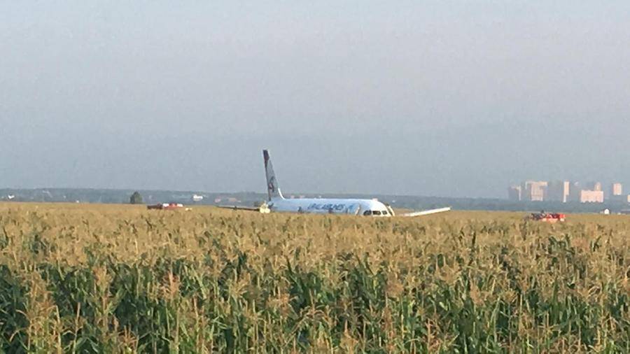 Появилось видео с места аварийной посадки А-321 в Московской области