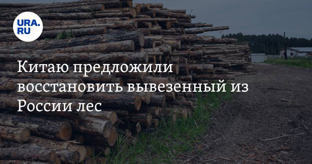 Китаю предложили восстановить вывезенный из России лес — URA.RU