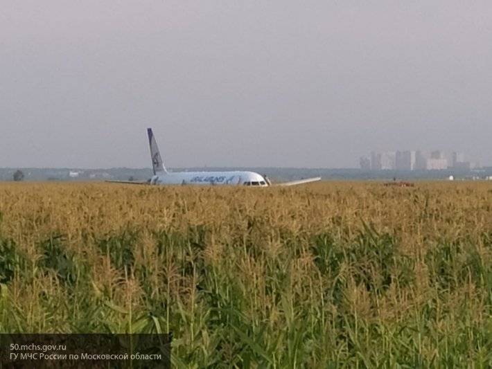 Стала известна причина аварийной посадки пассажирского самолета A-321