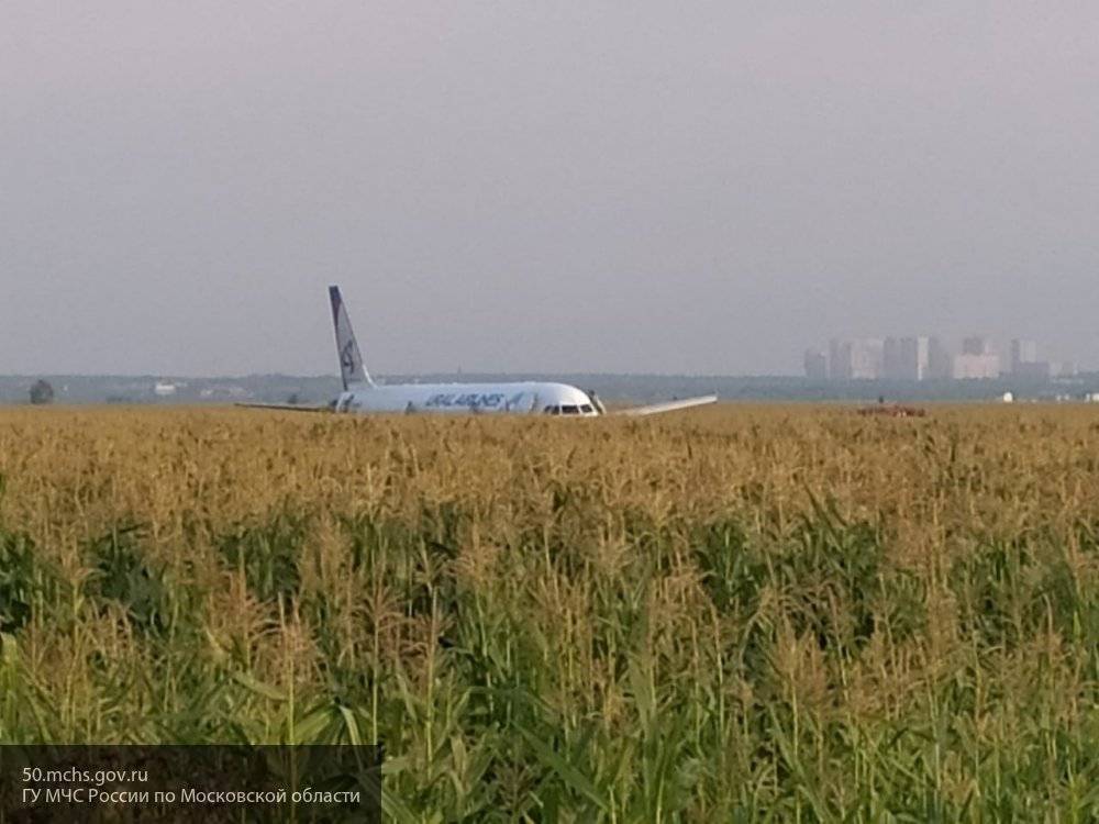 Четыре человека пострадали в результате жесткой посадки А-321 в поле в Подмосковье