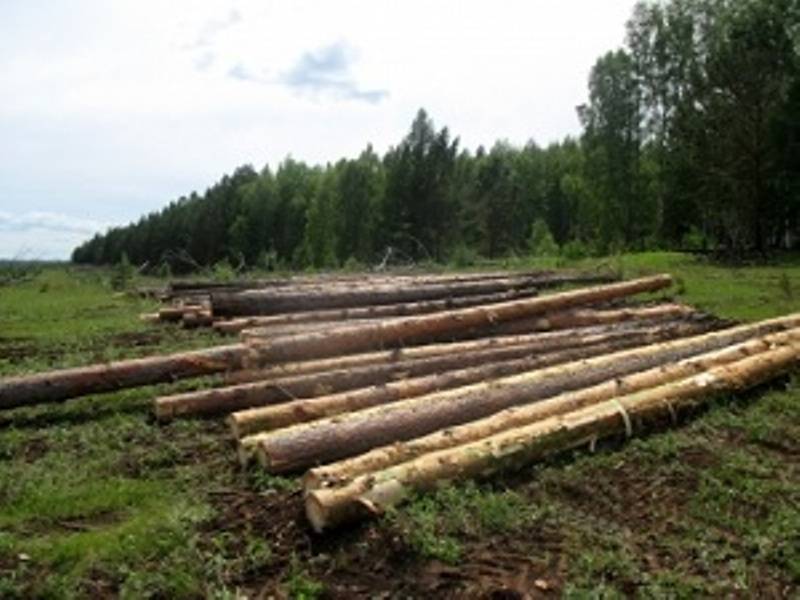 Китайцев оставят без русского леса