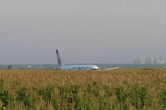 Лётчик-испытатель оценил действия экипажа аварийно приземлившегося в Подмосковье А321