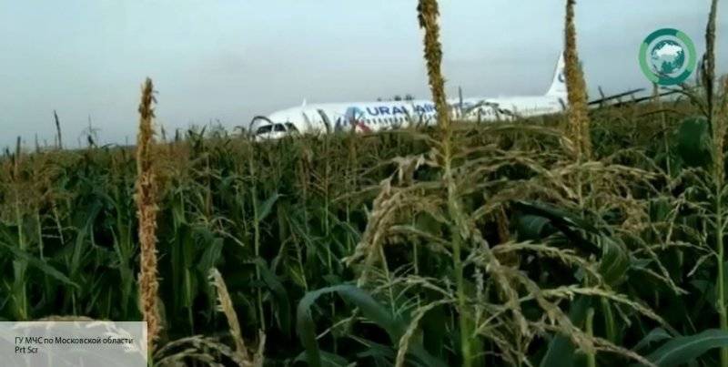 Губернатор Свердловской области призвал наградить экипаж A321, спасший жизни пассажиров