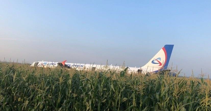 Airbus A321 совершил жёсткую посадку в&nbsp;кукурузном поле Подмосковья