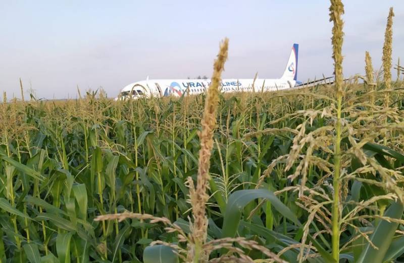 Российский пассажирский лайнер сел на кукурузное поле в Подмосквье