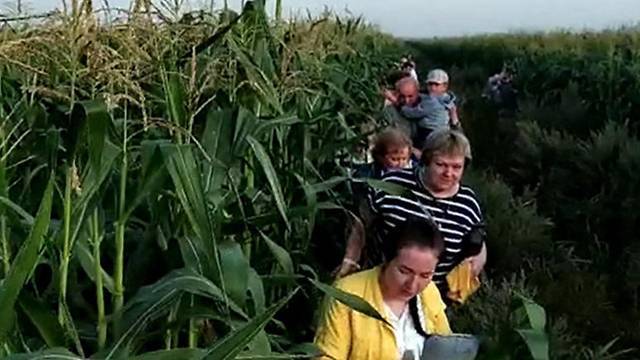 Пассажирский самолет с отказавшими двигателями экстренно сел на кукурузное поле возле Москвы