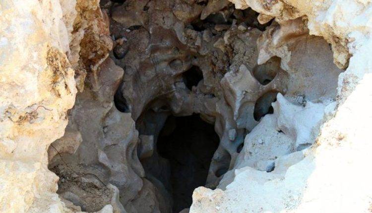 Неизвестные микроорганизмы обнаружены в крымской пещере «Таврида»