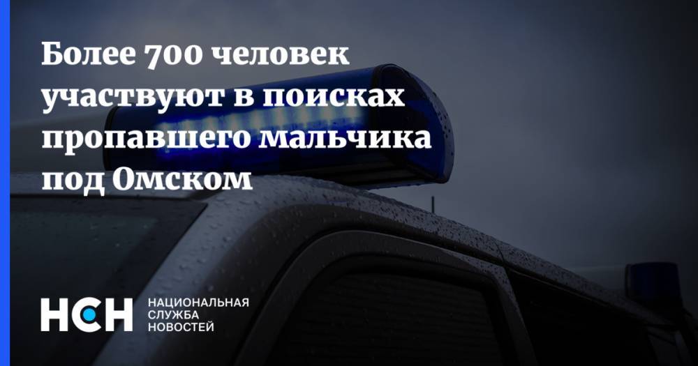 Более 700 волонтеров участвуют в поисках пропавшего мальчика под Омском