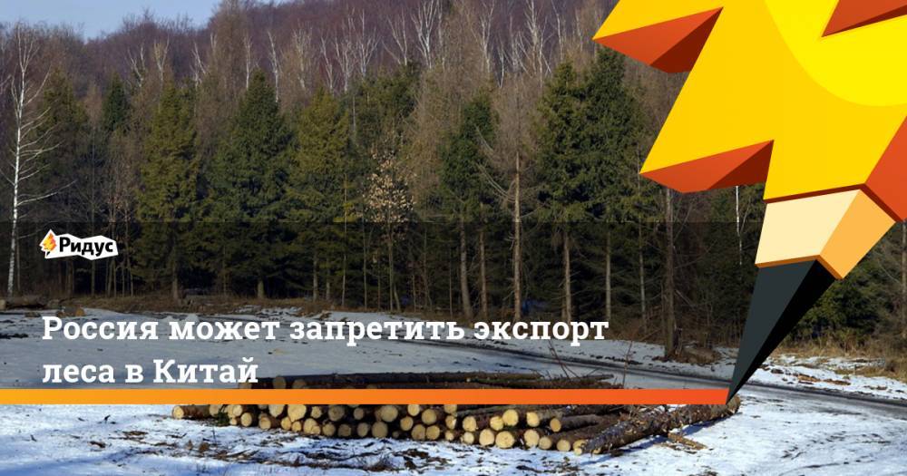 РФ может запретить экспорт леса в Китай. Ридус