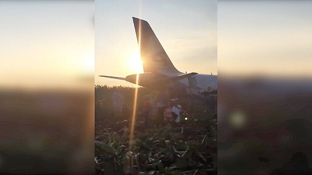 Прямо в кукурузное поле: видео с места посадки А321 "Уральских авиалиний" под Жуковским