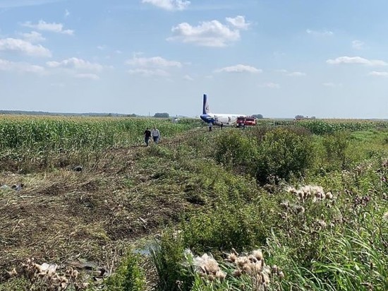 Пилоты A321 специально нарушили инструкцию Airbus, садясь на поле