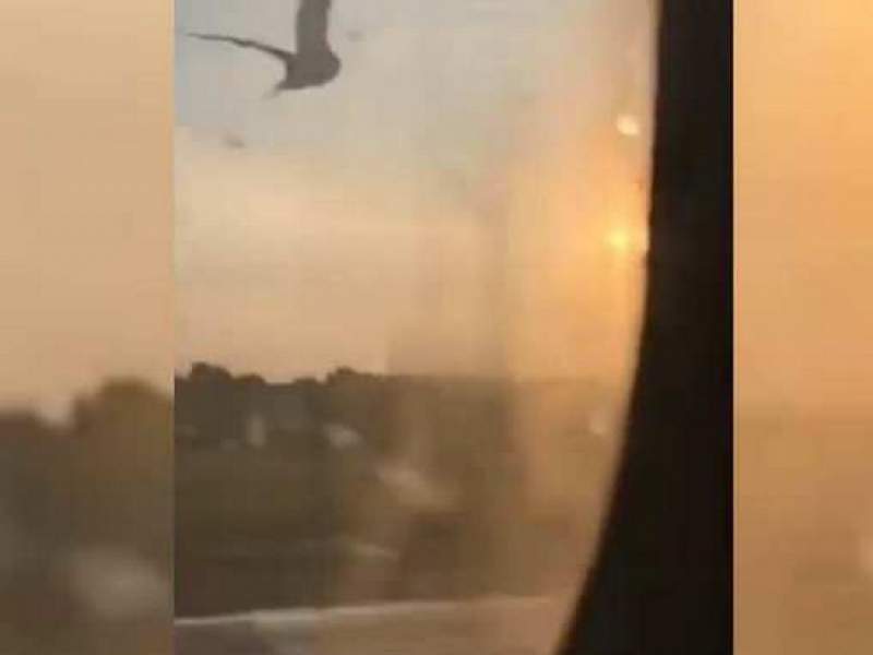 Момент столкновения самолета А321 с птицами попал на видео