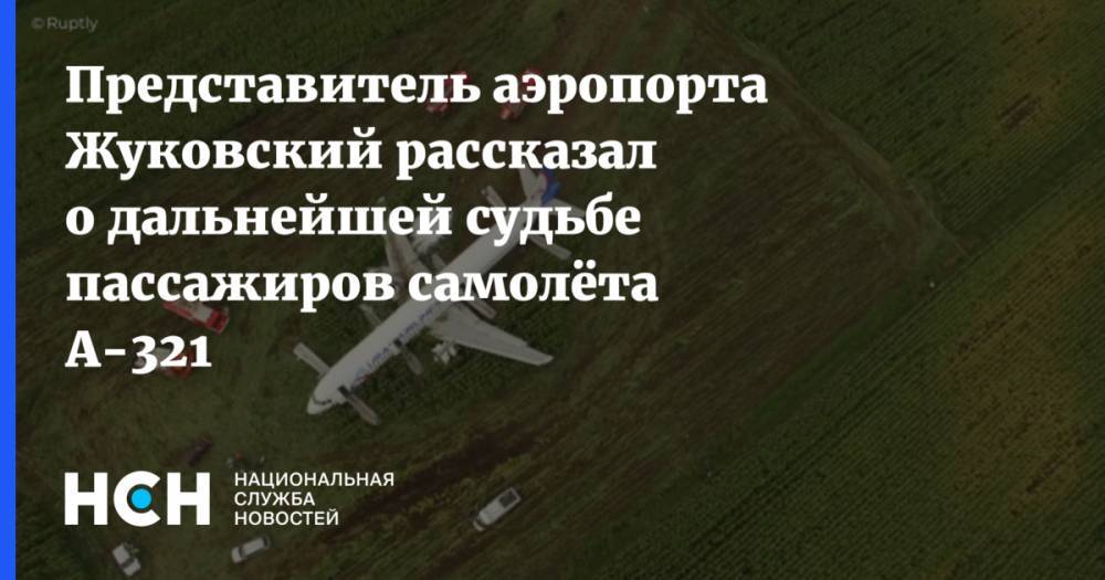 Представитель аэропорта Жуковский рассказал о дальнейшей судьбе пассажиров самолёта А-321