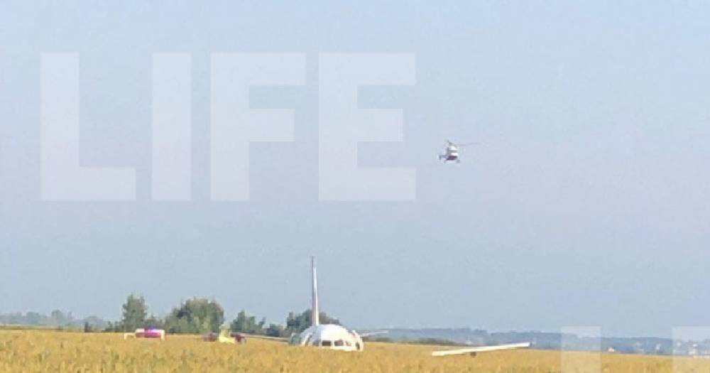 Лайф снял с квадрокоптера севший в поле самолёт "Уральских авиалиний".