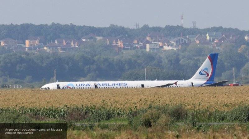 Пассажиры экстренно севшего А-321 вылетят в Симферополь тремя рейсами