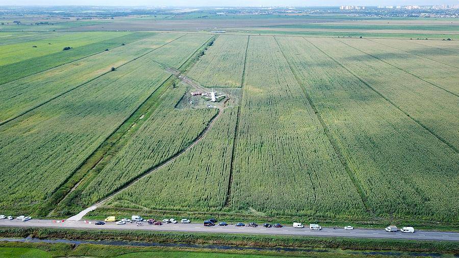 «Русмолоко» рассказала о планах восстановить кукурузное поле после приземления А321