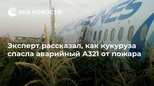 Эксперт рассказал, как кукуруза спасла аварийный A321 от пожара