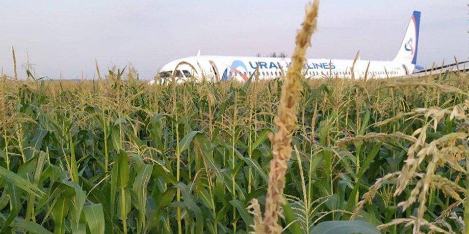 Пилоты севшего на кукурузное поле А321 попали в базу украинского "Миротворца"