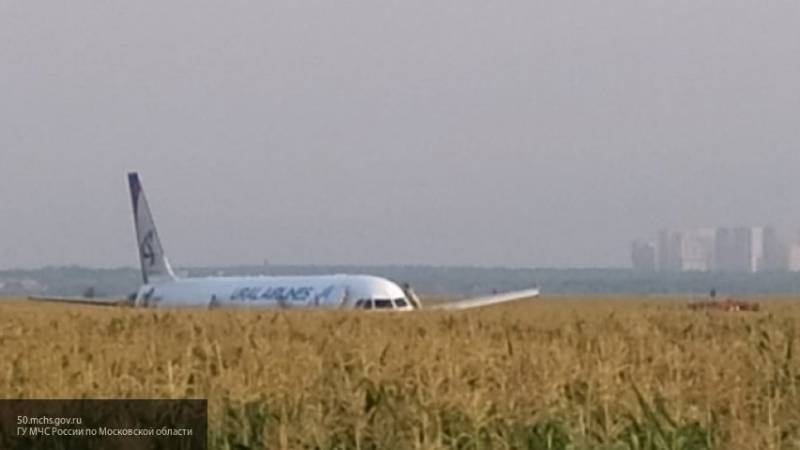 Почти 60 пассажиров севшего в кукурузном поле лайнера улетели в Крым