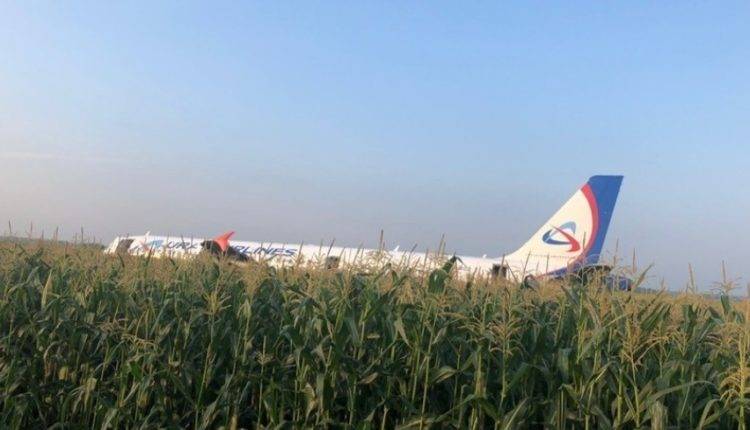 Пассажирский самолет Airbus A-321 совершил жесткую посадку на кукурузное поле в Подмосковье