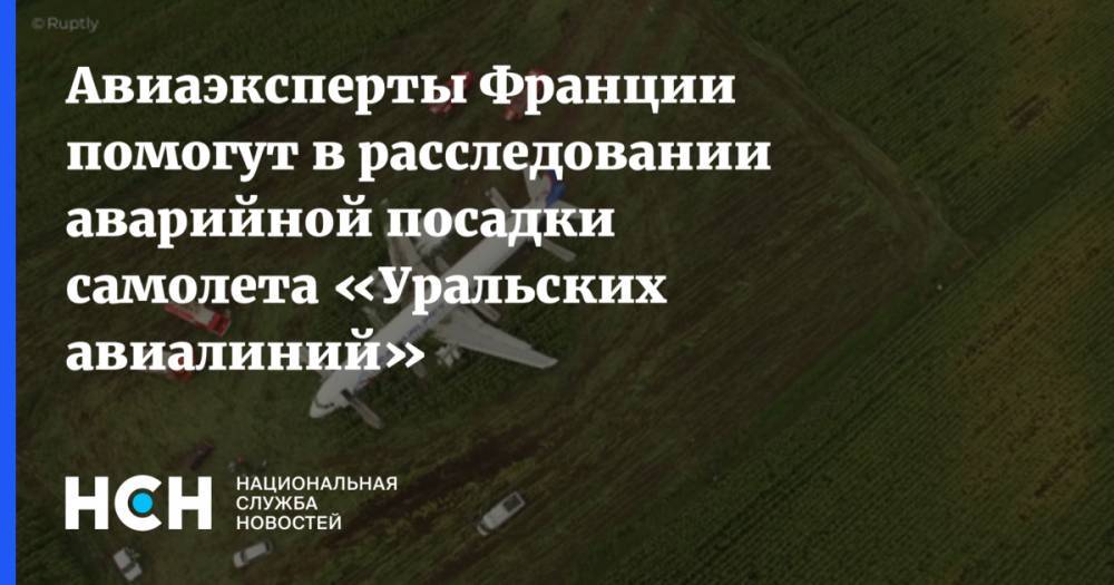 Авиаэксперты Франции помогут в расследовании аварийной посадки самолета «Уральских авиалиний»