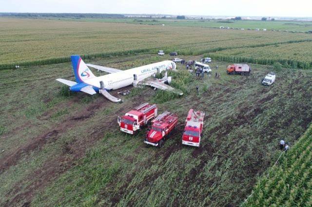 Причиной аварийной посадки А321 могла стать политика властей Подмосковья в отношении незаконных свалок