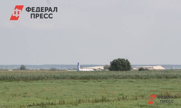 Самолет «Уральских авиалиний» совершил аварийную посадку на кукурузном поле | Москва | ФедералПресс