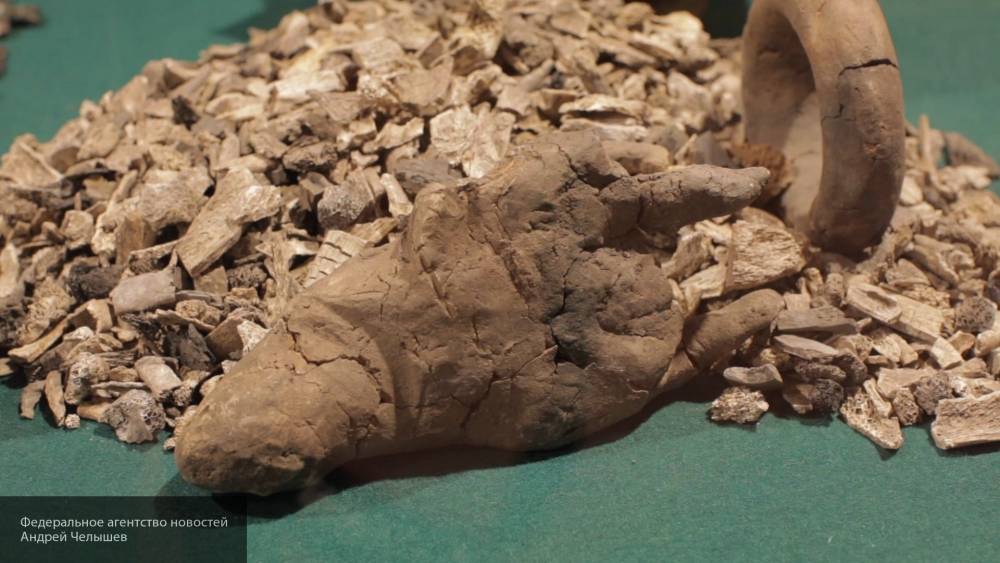 Специалисты установили рекорд по количеству обнаруженных артефактов