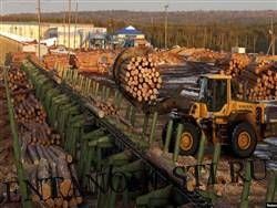 В России нехватка леса в Сибири — часть сгорела, часть вырубили