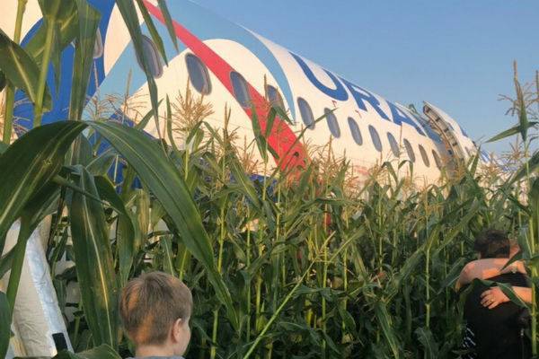 Опубликовано полное видео взлета и посадки А321 на кукурузное поле