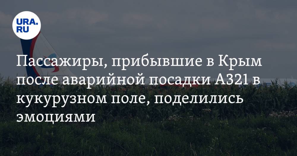 Пассажиры, прибывшие в Крым после аварийной посадки А321 в кукурузном поле, поделились эмоциями — URA.RU