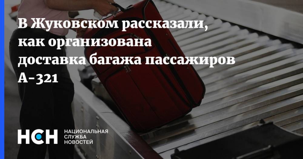 В Жуковском рассказали, как организована доставка багажа пассажиров А-321