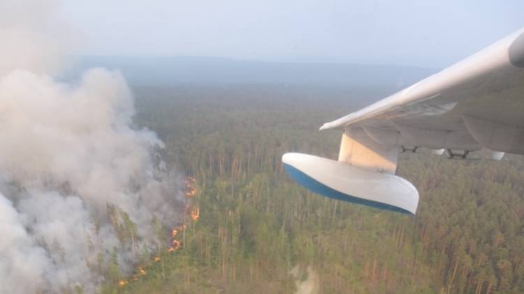 Около 22 тысячи гектаров лесных пожаров потушены в России за сутки
