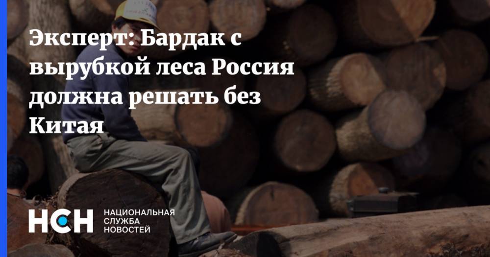 Эксперт: Бардак с вырубкой леса Россия должна решать без Китая