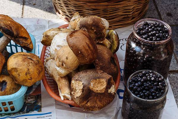 Власти Томской области отправят своих бедняков по грибы
