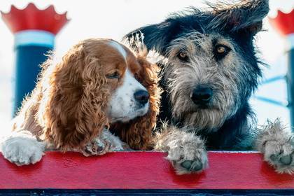 Disney опубликовал фотографию собак из ремейка «Леди и Бродяги»