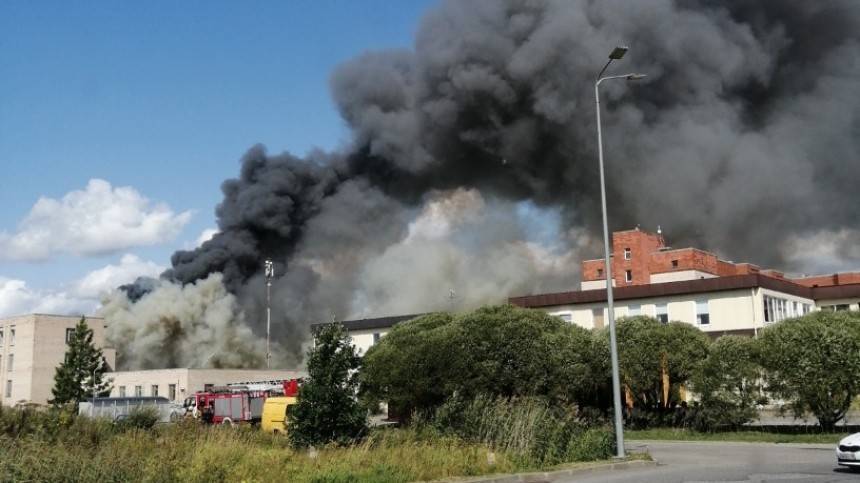 Видео: мощный пожар на юге Петербурга. Готовится авиация