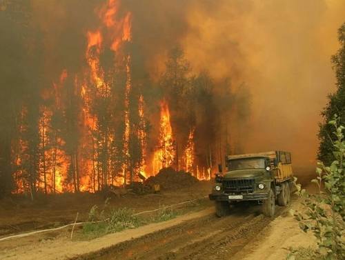 Минприроды хочет отнять у губернаторов право решать вопросы по лесным пожарам