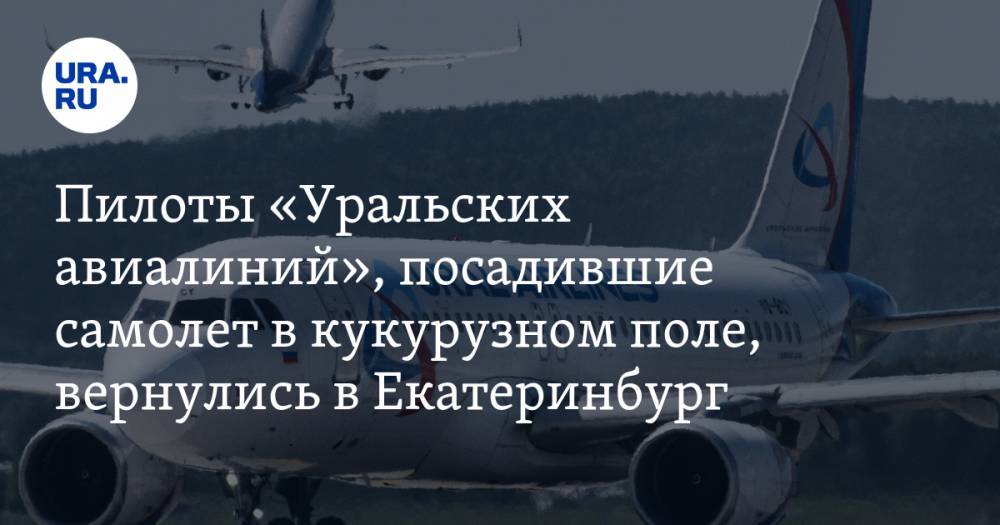 Пилоты «Уральских авиалиний», посадившие самолет в кукурузном поле, вернулись в Екатеринбург — URA.RU