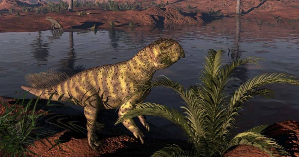 Четвероногие динозавры могли с&nbsp;возрастом переходить к&nbsp;двуногости