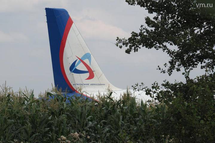 Семь пассажиров рейса U6178 вылетели в Симферополь