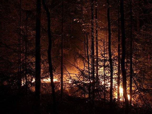 Минприроды предложило отобрать у губернаторов полномочия по тушению лесных пожаров