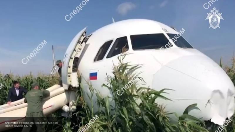 Посадившие самолет в кукурузном поле пилоты вернулись в Екатеринбург