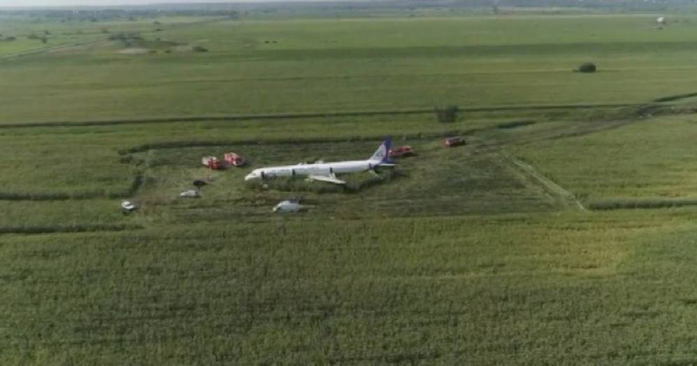 Спасший более 200 человек командир A321 извинился перед пассажирами.