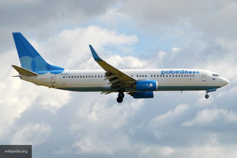 Вылет самолета "Победы" в Москву задержали из-за попадания птицы в двигатель