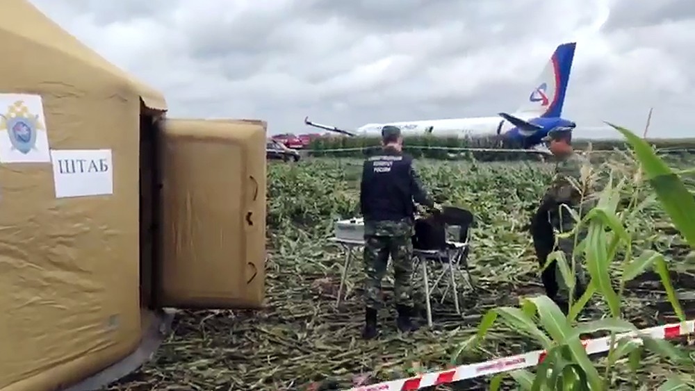 Работа следователей на месте посадки А321 в кукурузном поле попала на видео