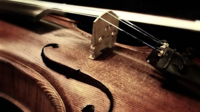 Неизвестные похитили у петербуржца скрипку за 3 тыс. евро